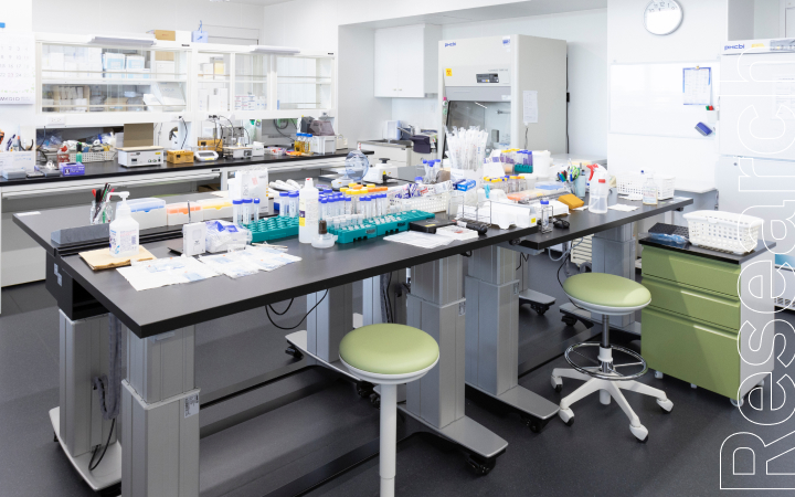 在校生の研究紹介